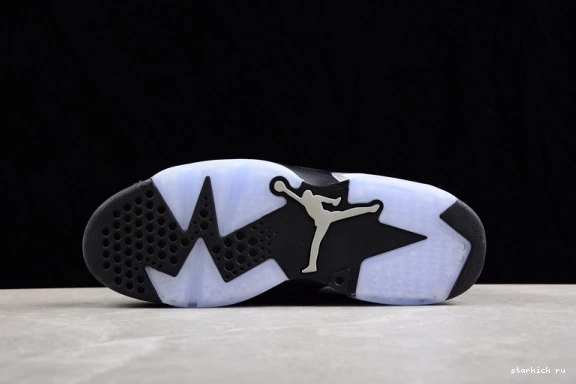 Metallic 6 Silver Jordan Retro DX2836-001 DX2836-001 0224